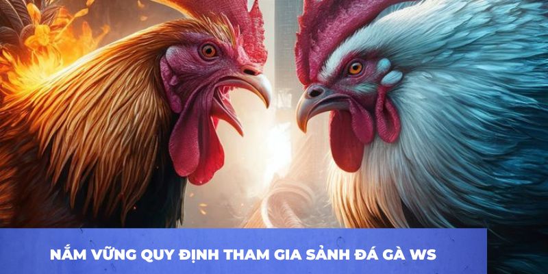 Đa dạng loại hình đá gà tại sảnh 168